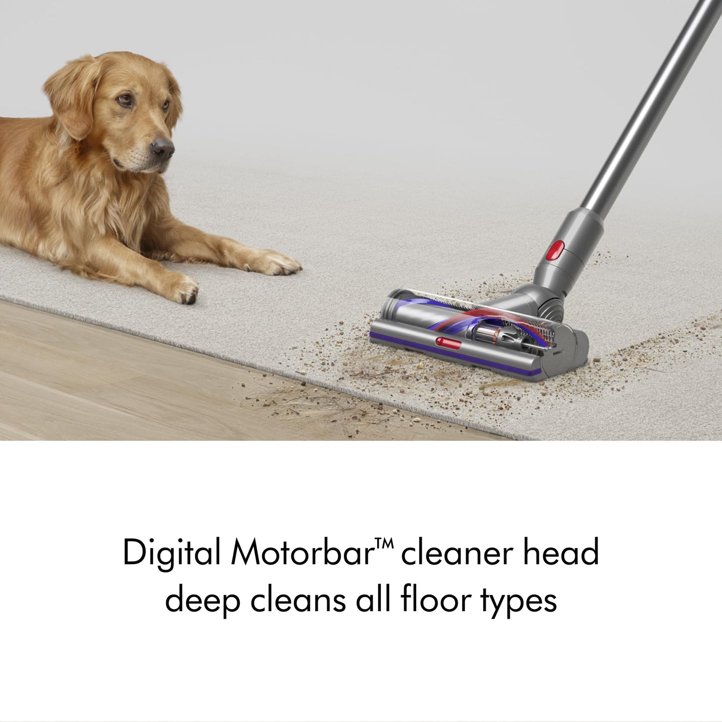 Dyson V15 Detect™ Absolute Cordless Vacuum Cleaner