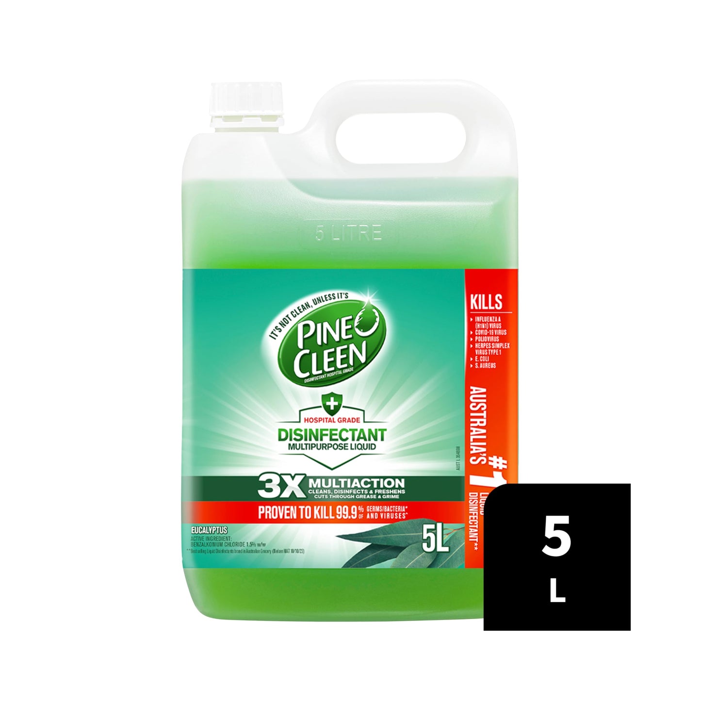 Pine O Cleen Disinfectant Multipurpose Liquid Eucalyptus 5L